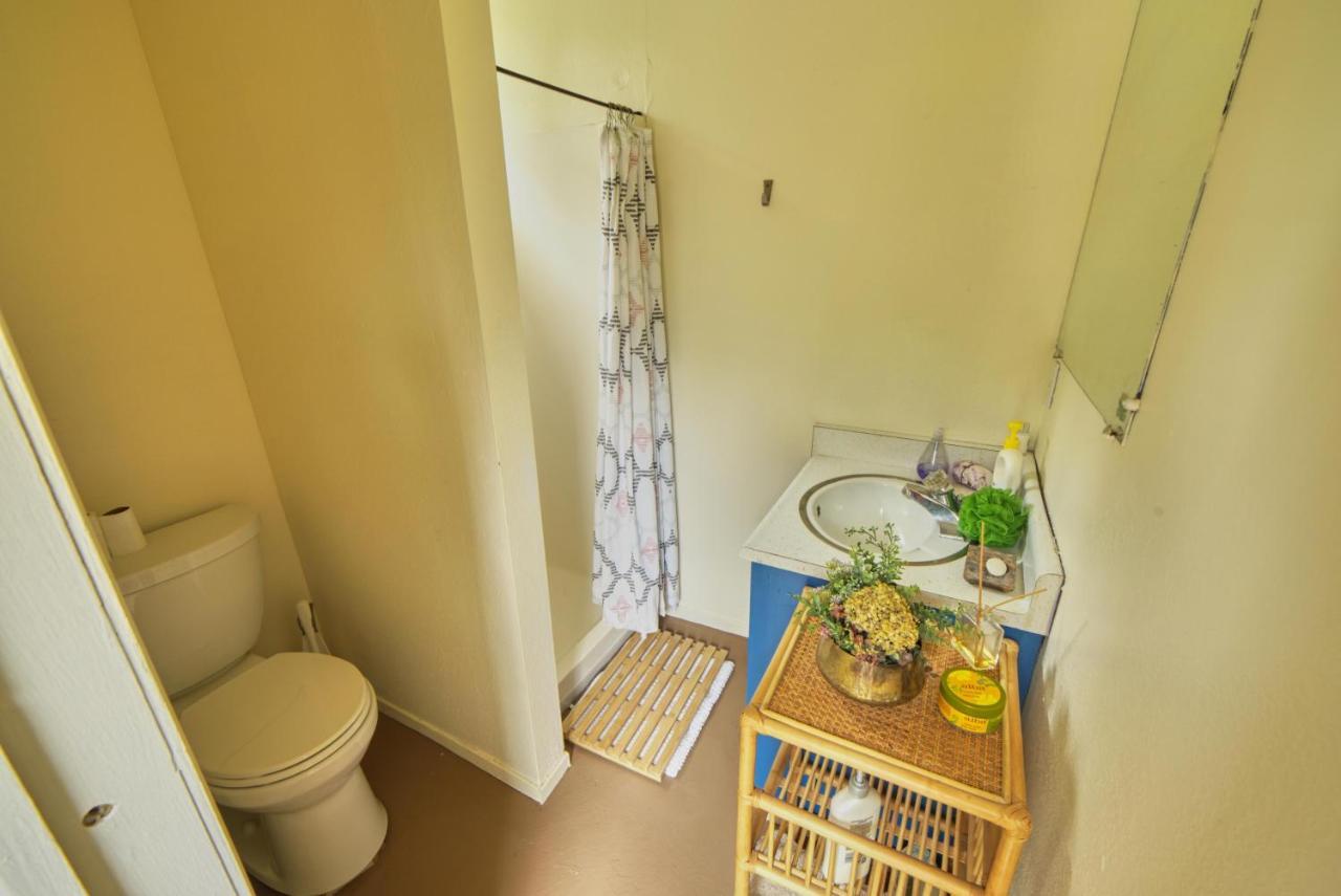 Rivers Breeze Relaxing Riverside Cabin With Private Suite Kayaks Healdsburg Εξωτερικό φωτογραφία